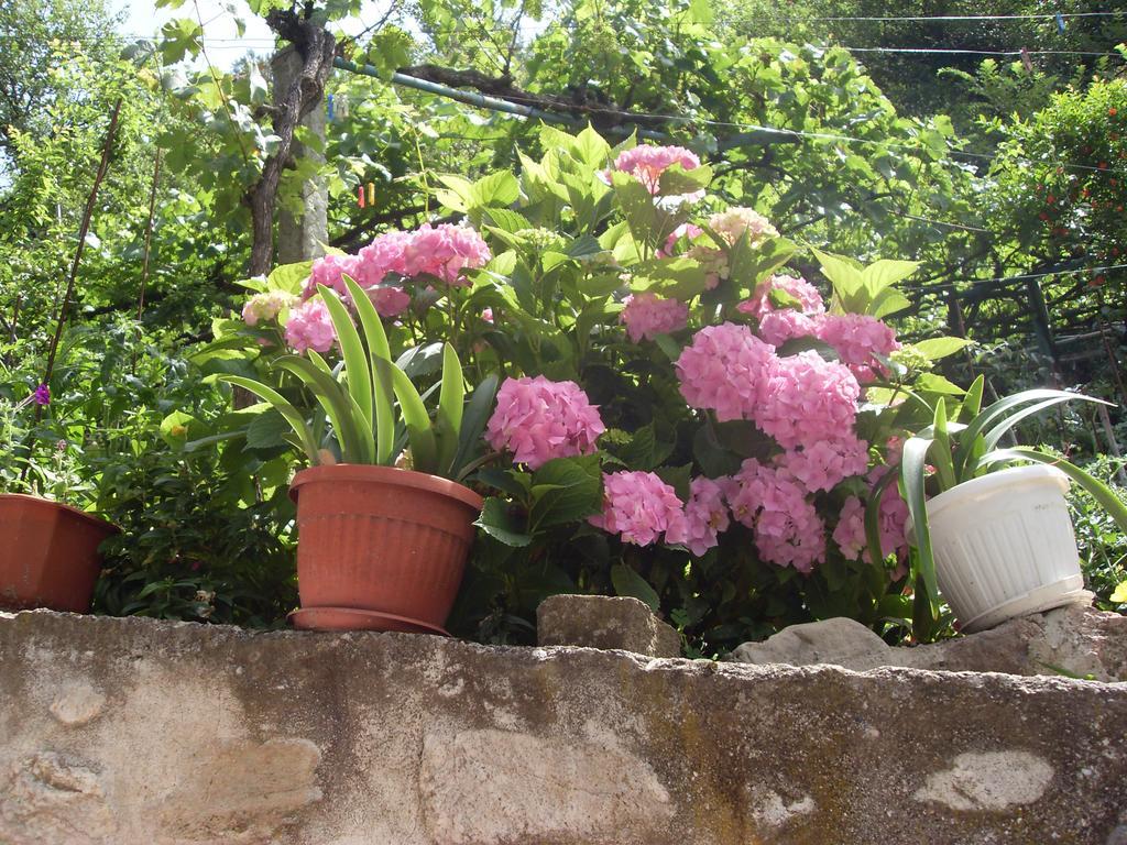 Guest House Rimski Most Melnik  Bagian luar foto
